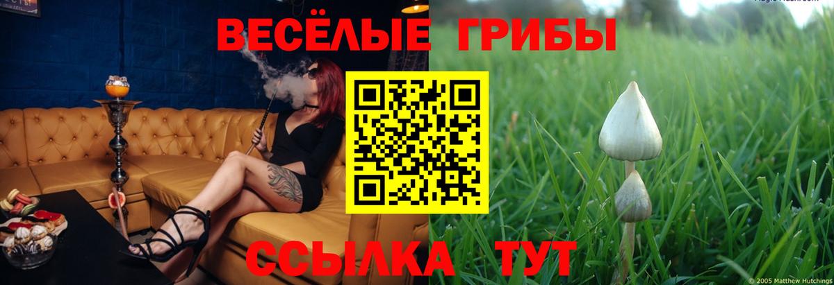 Галлюциногенные грибы ЛСД  Вход с VPN  Чапаевск 